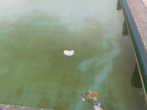 Read more about the article Falta de limpeza da piscina preocupa moradores de Feu Rosa